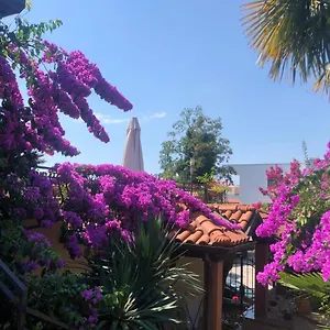 Ana Appartement Opatija